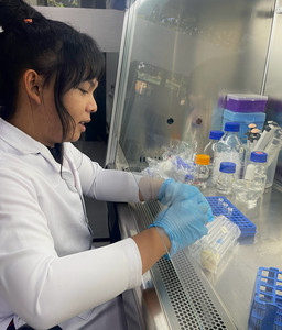 Laboratory analyses