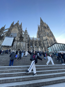 Raven arriving in Cologne